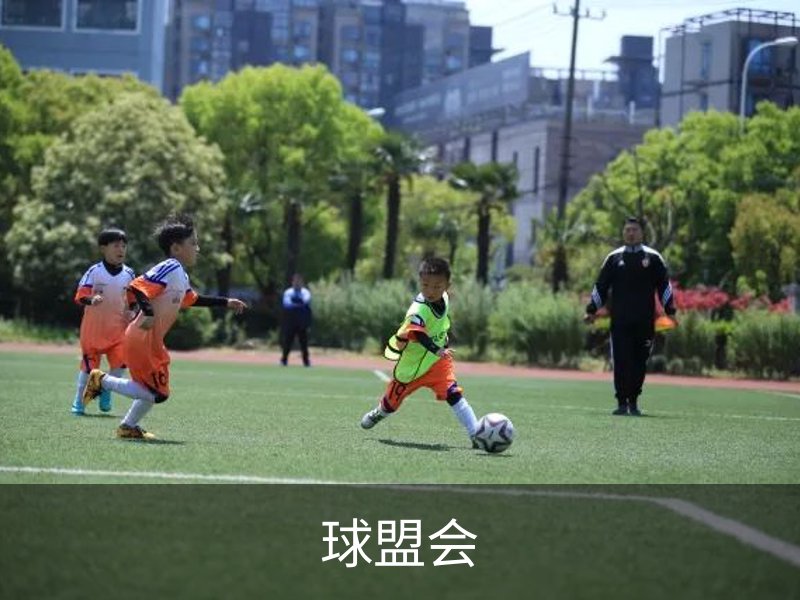 球盟会概况